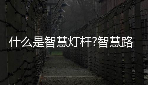 杆智功远程抄表等功能
