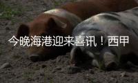 今晚海港迎来喜讯�！西甲中场猛将加盟
，武磊力荐，巴尔加斯替代者