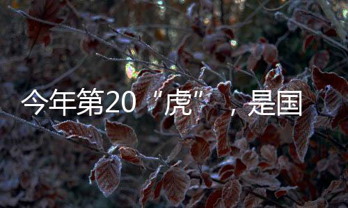 不再保留国家林业局