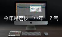今年是荔枝“小年”？气候影响是主因