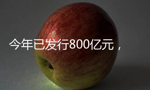 并于2025年2月28日正式起息
