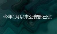 快排公司十年历程，霸屏兔 seo 的崛起与坚守