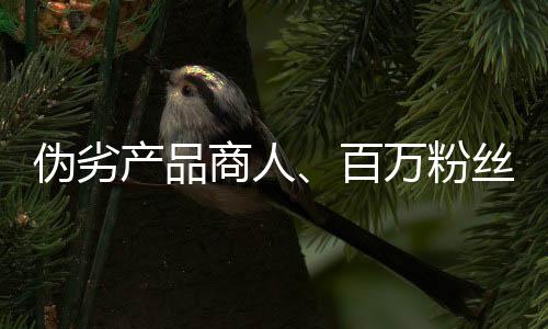数百万粉丝量也一同消失