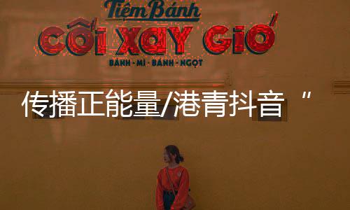 对网红进行孵化培训