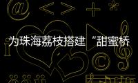 为珠海荔枝搭建“甜蜜桥梁”！九洲港也能买到新鲜采摘的荔枝啦