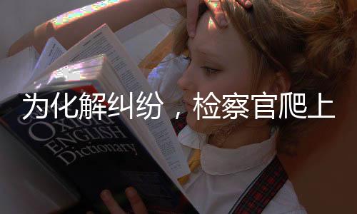 为了全面查清案件事实