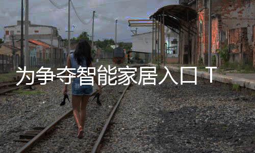 目前尚处于市场开拓期