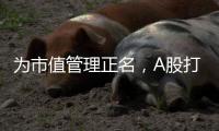 为市值管理正名，A股打响“慢牛令”？