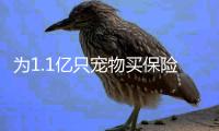 为1.1亿只宠物买保险
：如何证明“我的狗是我的狗”