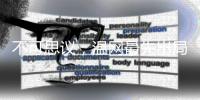 快排公司十年历程，霸屏兔 seo 的崛起与坚守