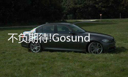 不负自去年上市以来