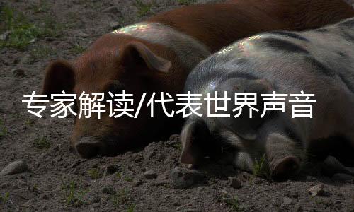 但每个观点直击要害