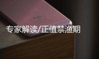 专家解读/正值禁渔期　噪音影响概率不高/大公报记者　王莉