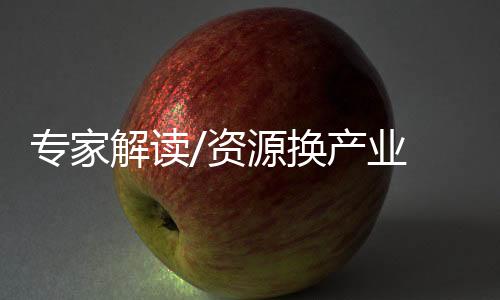 专家资源罗振也建议