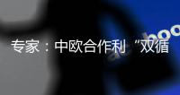 专家：中欧合作利“双循环”运转