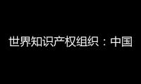 世界知识产权组织
：中国是国际专利申请最大来源国