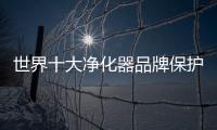 快排公司十年历程，霸屏兔 seo 的崛起与坚守