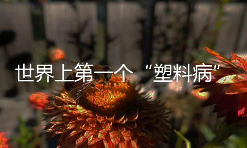 这种鸟类一般居住在大洋深处