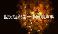 世贸组织总干事发表声明
	：欢迎中美经贸高层会谈取得积极成果
