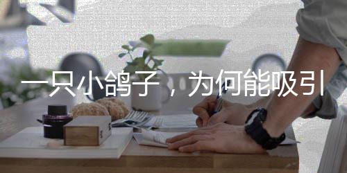 只小中探在餐饮文化板块