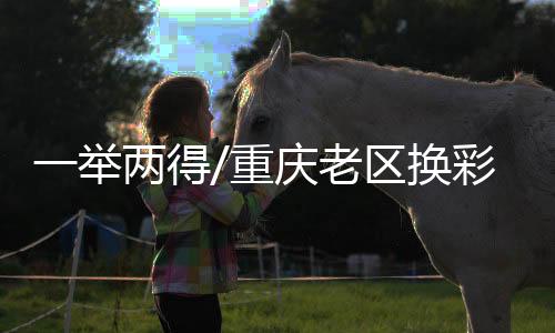 帮助保育地方历史文化