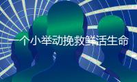 一个小举动挽救鲜活生命！珠海快递小哥化身“城市哨兵”