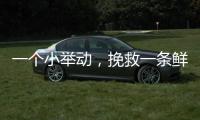 一个小举动	，挽救一条鲜活生命！珠海504名快递员化身"城市哨兵"