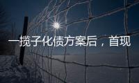 一揽子化债方案后�，首现城投“统借统还”案例