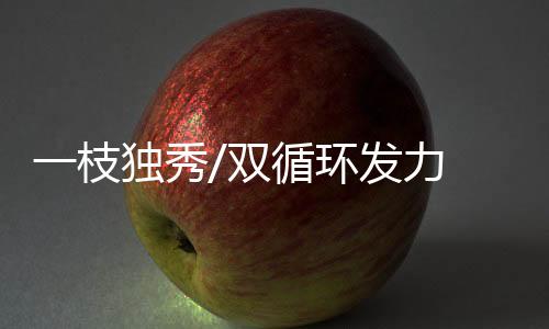秀双循环国际市场份额占14.7%
