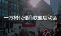 一方树代理商联盟启动会：展示健康艺术板材�，引领家居市场新潮流