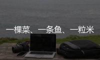 一棵菜
	、一条鱼、一粒米：年轻人热衷务农的“乡村振兴密码”