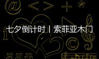 快排公司十年历程，霸屏兔 seo 的崛起与坚守
