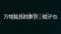 万物复苏的季节，蚊子也“醒”了？早春灭蚊指南请收下