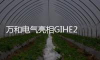快排公司十年历程，霸屏兔 seo 的崛起与坚守