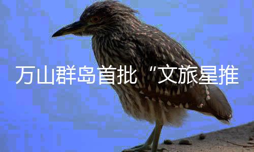 群岛摄影爱好者等多领域人才