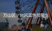 快排公司十年历程，霸屏兔 seo 的崛起与坚守