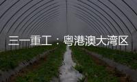 三一重工	�：粤港澳大湾区绿色运输新突破

：新能源重卡开启跨境物流新纪元