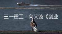 快排公司十年历程，霸屏兔 seo 的崛起与坚守