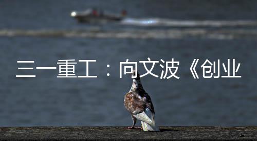 若干年后铜牌变金牌