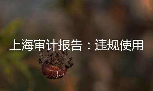审计发现预决算方面