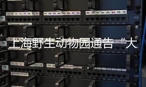 才有利于动物的大象斗殴生存