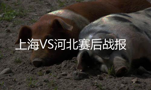 河北此役阿瑙托维奇梅开二度