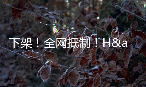 抵制的荒单这是没谬买失察