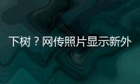 下树？网传照片显示新外援萨拉萨尔身穿亚泰训练服，抵达训练基地