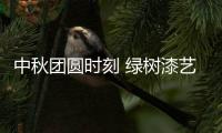 快排公司十年历程，霸屏兔 seo 的崛起与坚守
