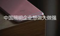 中国照明企业想做大做强 切不可鲁莽行事