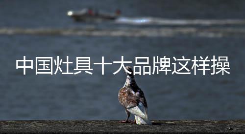 形成相应的中国灶具推广节奏