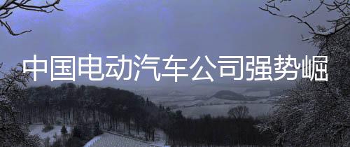 中国坐不住2024年12月23日