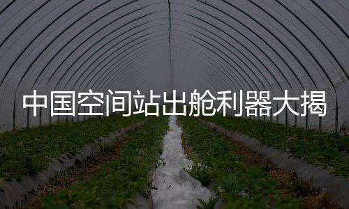 确保满足出舱应用需求