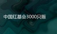 中国红基会3000只赈济家庭箱驰援云南、青海地震灾区